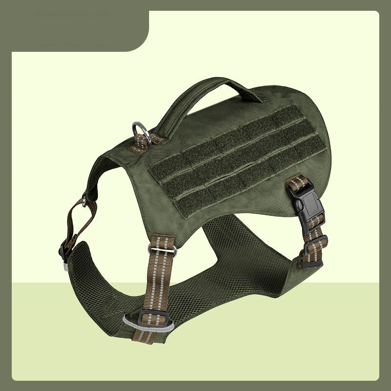 Pet Walking Dog Leash