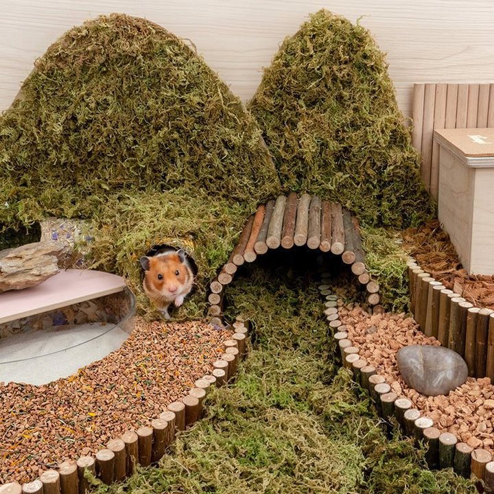 Hamster Digging Dust-free Bedding