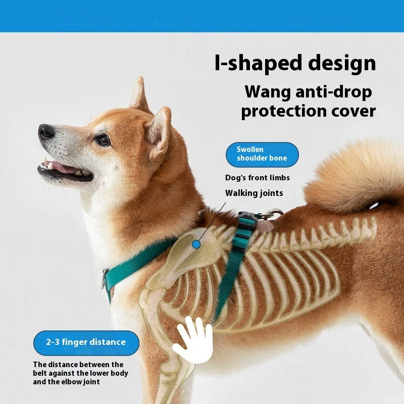 Dog Rope Leash Multifunctional