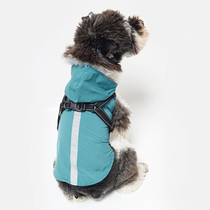 New Pet Raincoat Dog