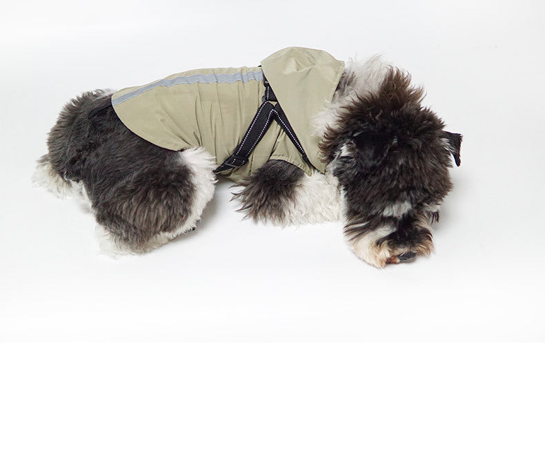 New Pet Raincoat Dog