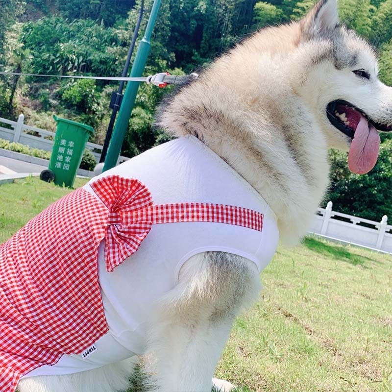 Dog Clothes Princess Dog