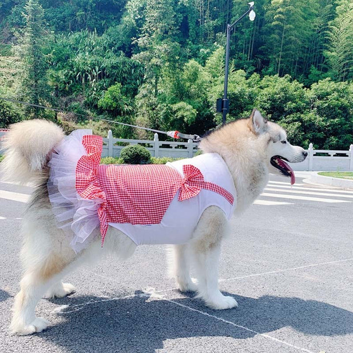 Dog Clothes Princess Dog
