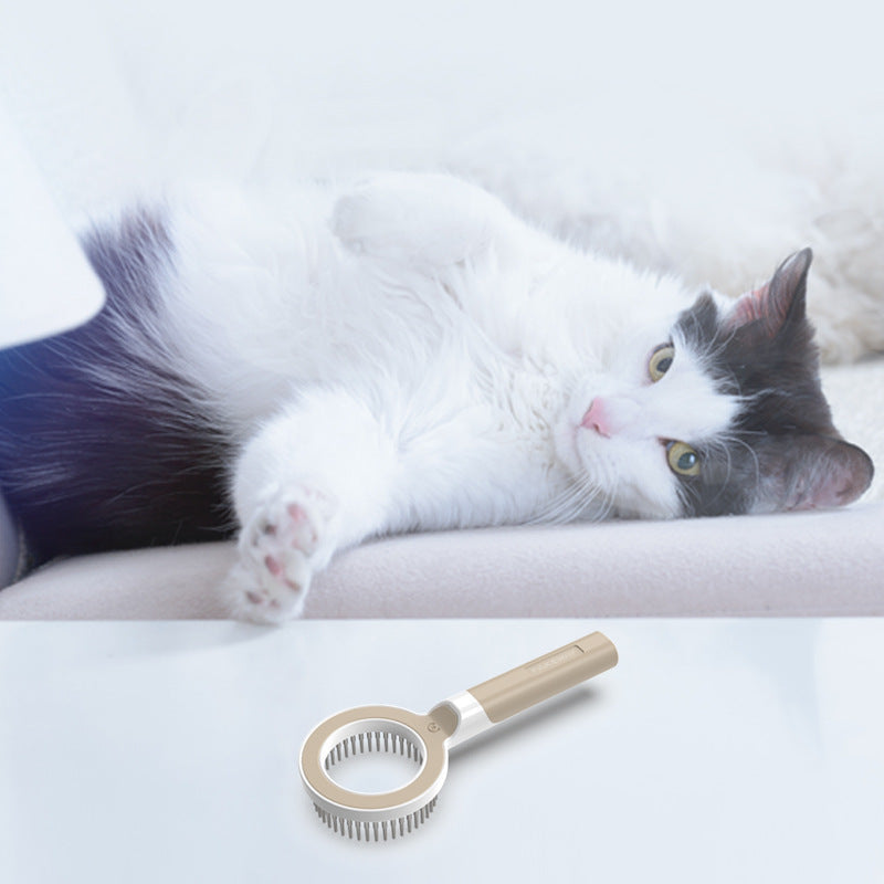 Magnifying Glass Cat Comb