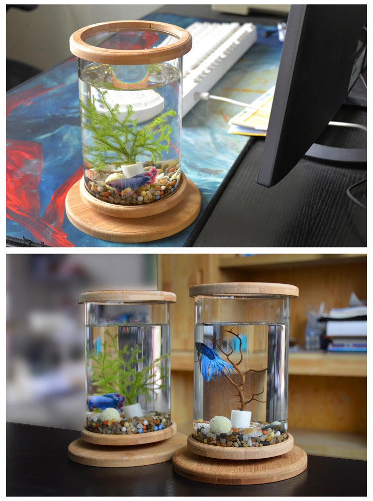 Small Office Glass Aquarium Bamboo Base Bowl