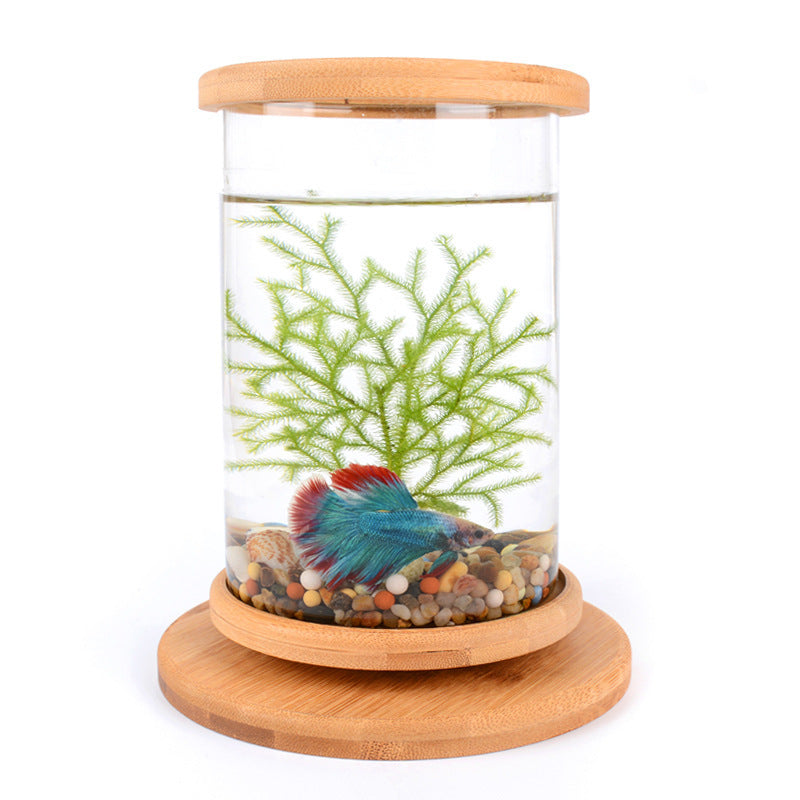 Small Office Glass Aquarium Bamboo Base Bowl