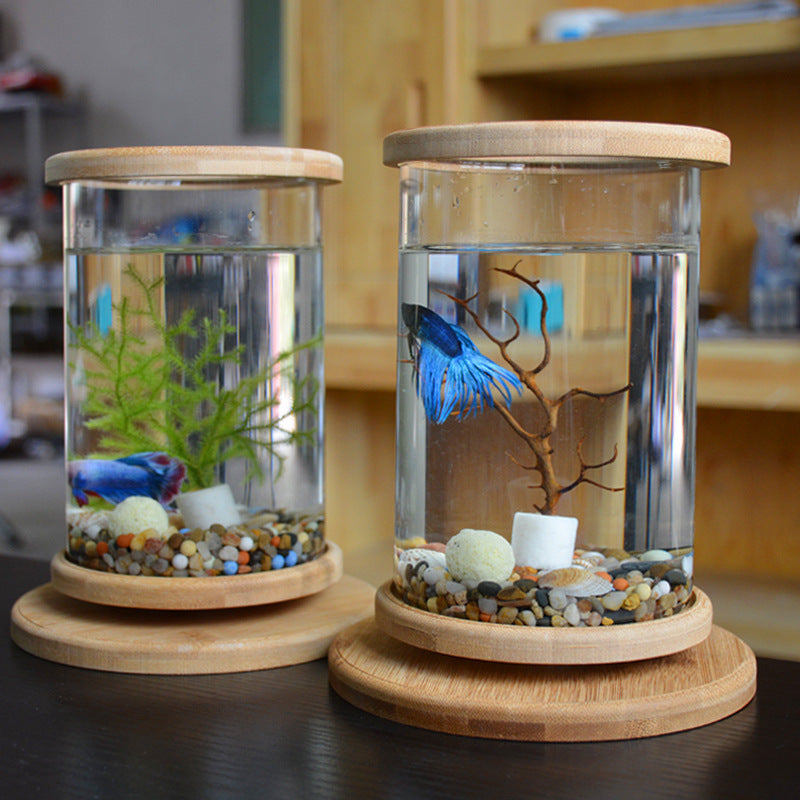 Small Office Glass Aquarium Bamboo Base Bowl