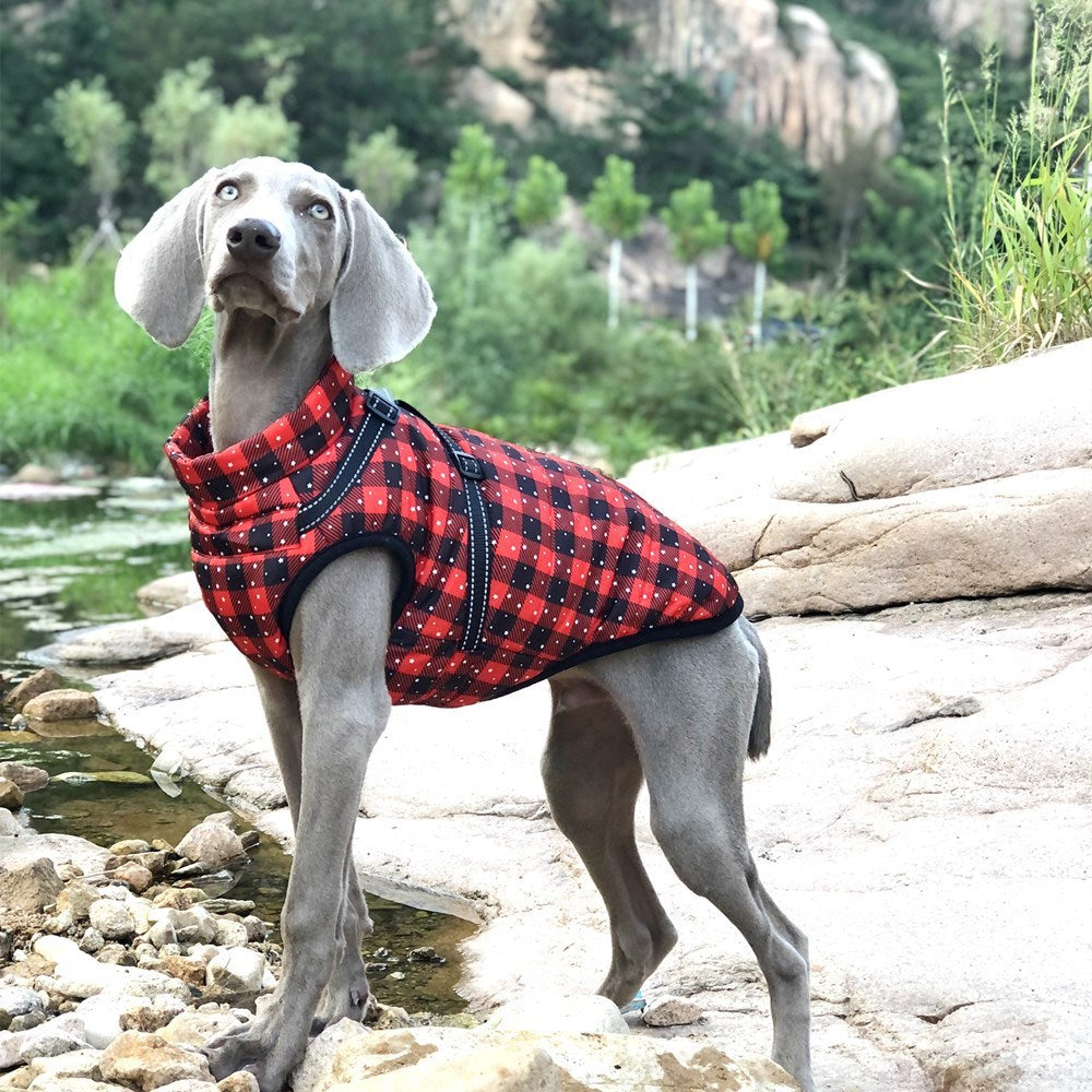 Christmas Dog Waterproof Reflective Belt Chest