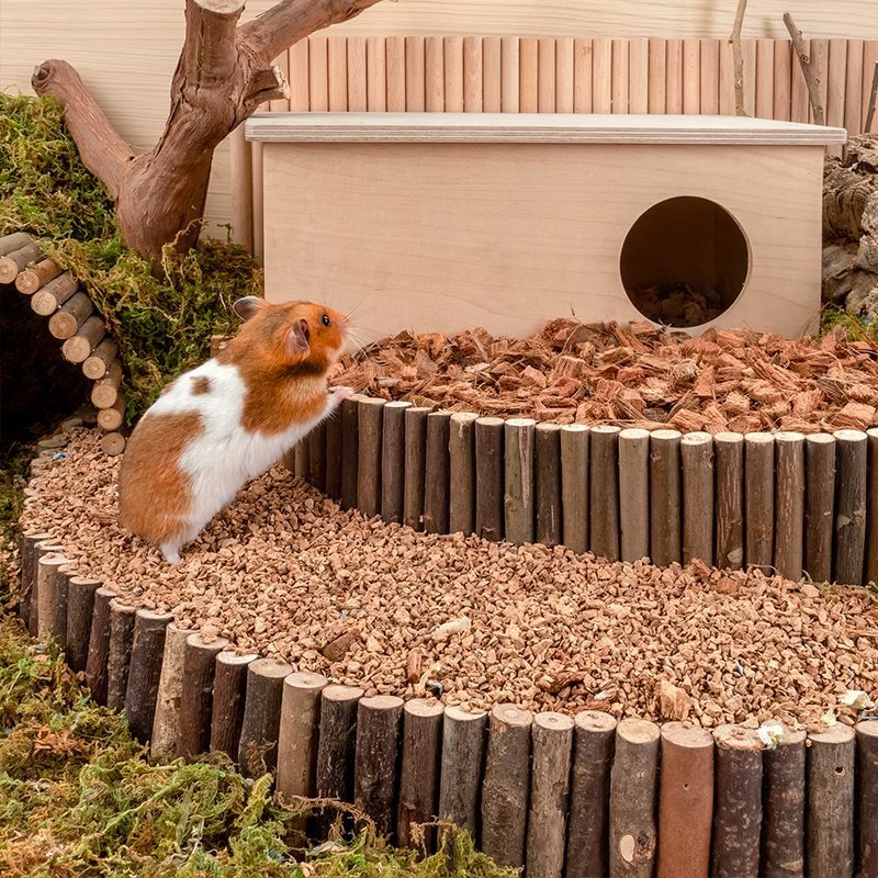 Hamster Digging Dust-free Bedding