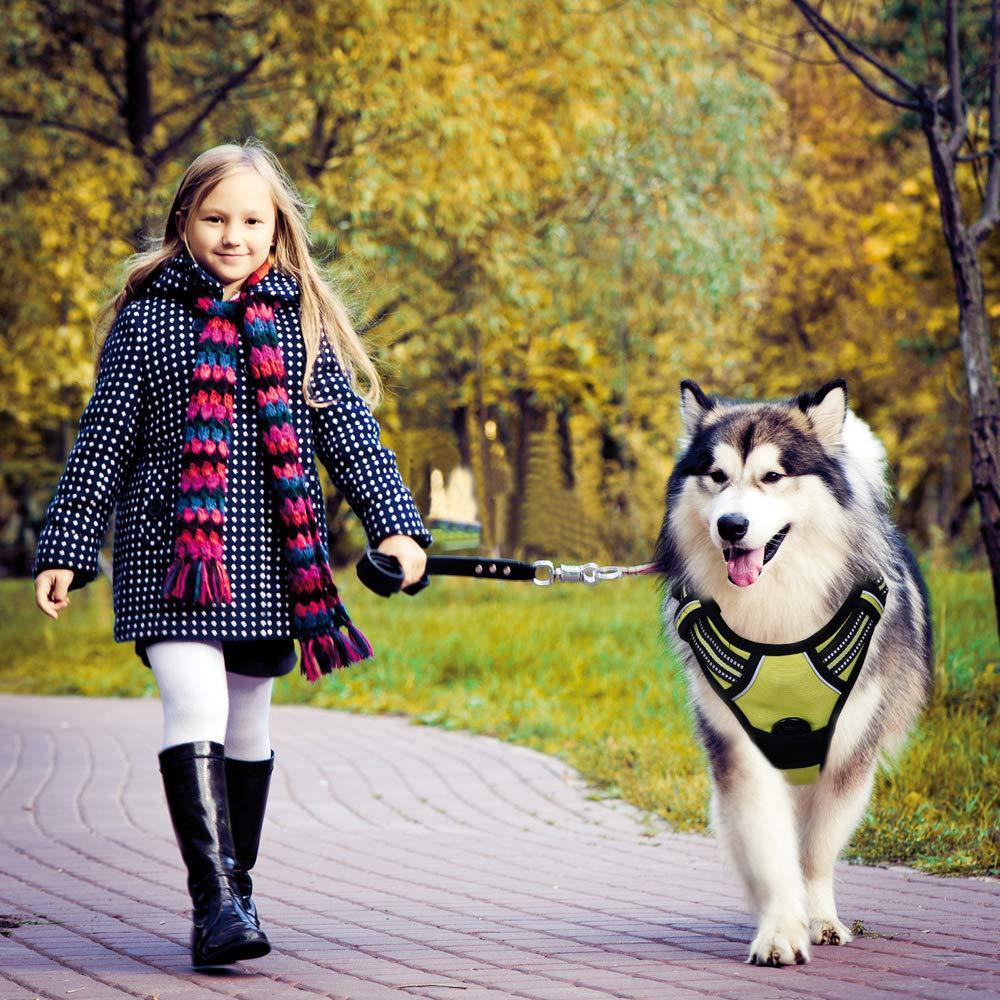 Reflective explosion-proof vest