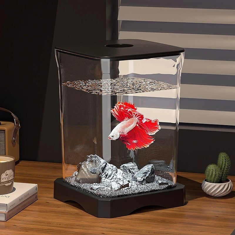 Creative Douyu Ecological Fish Tank