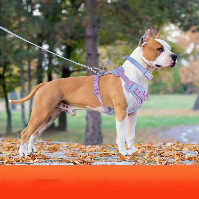 Dog Breast Strap Hand Holding Rope