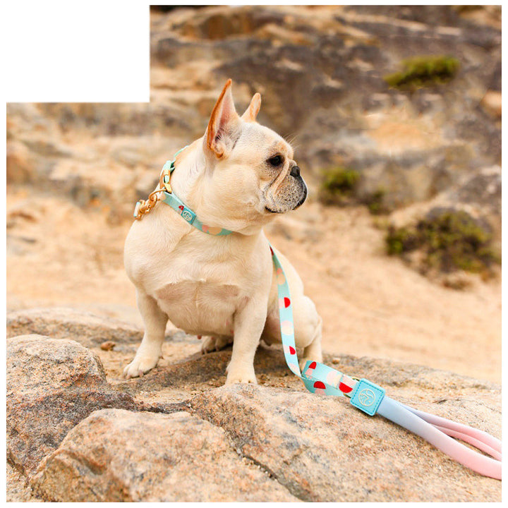 Fashion Y-shaped Chest Strap