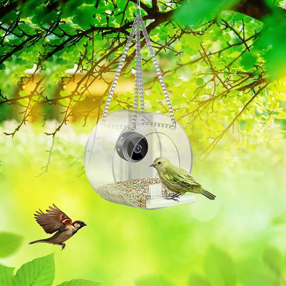 Pet Smart Feeder Outdoor Real-time Monitoring