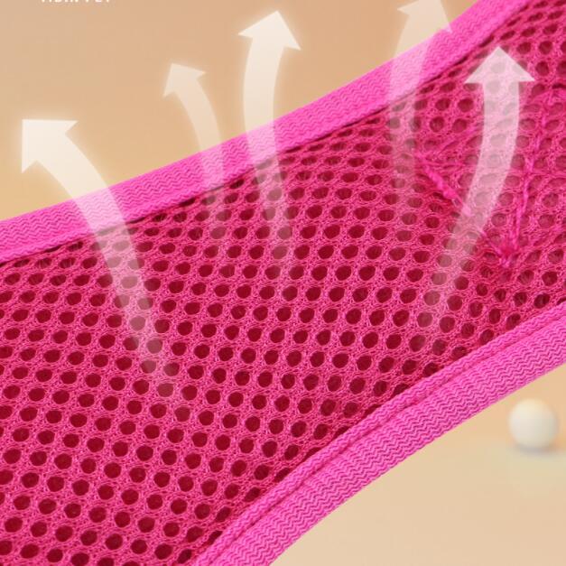 Small Medium And Large Dog Pet Leash