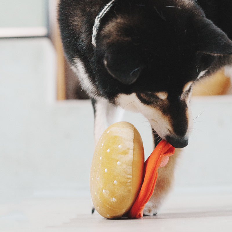 Pet Sniffing Educational Toys