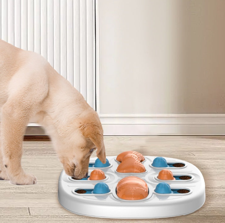 Slow Food Feeder  Licking Plate