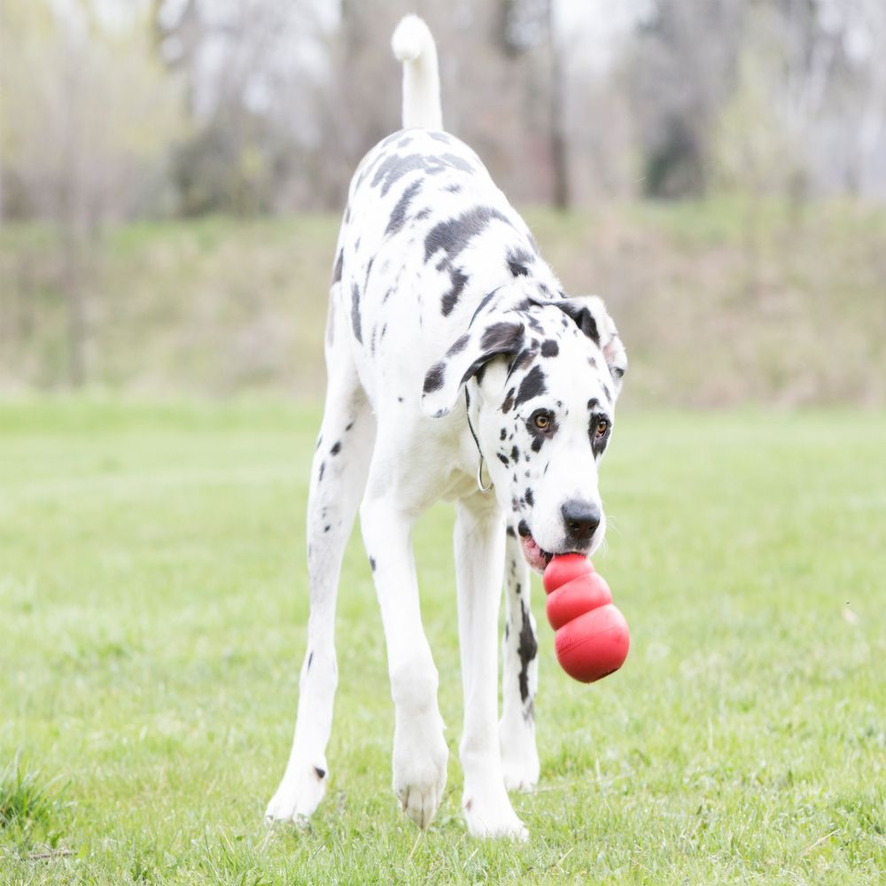 Pet Supplies Gourd Bite-resistant Toy