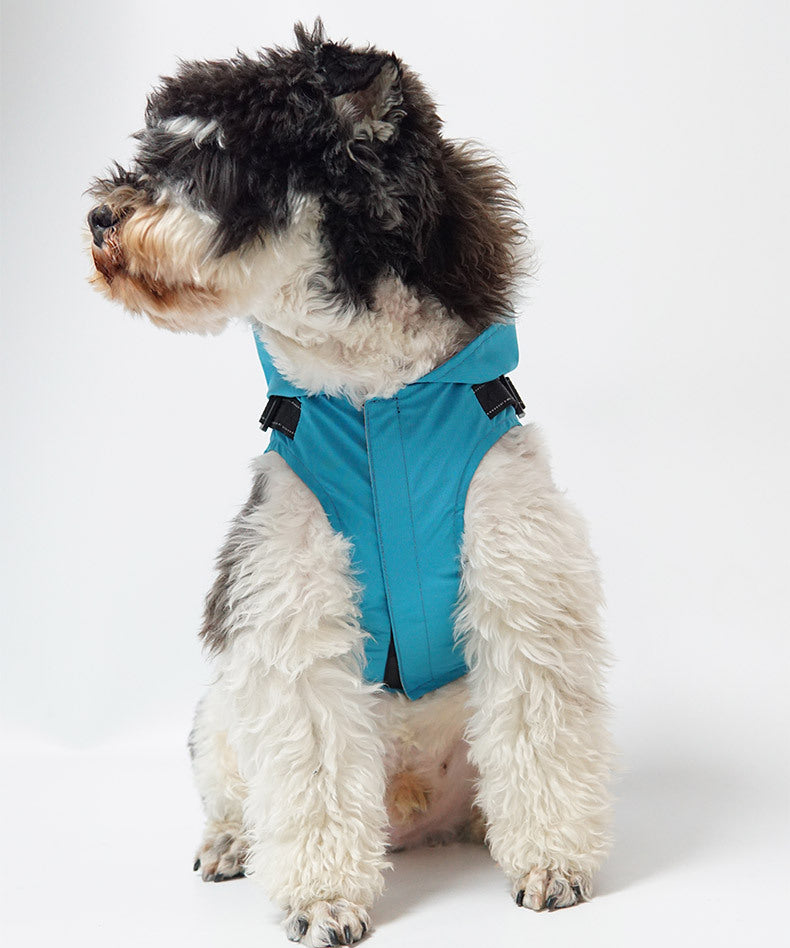 New Pet Raincoat Dog