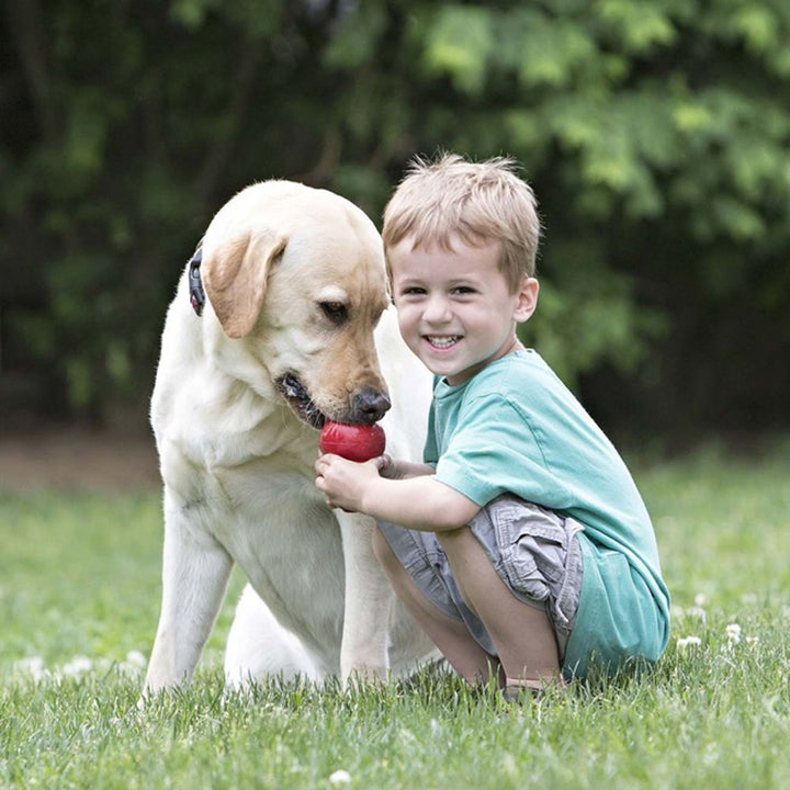 Pet Supplies Gourd Bite-resistant Toy