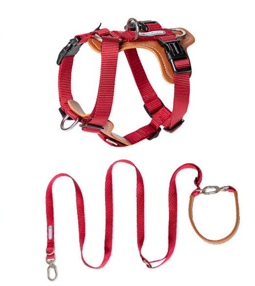 Dog Rope Leash Multifunctional
