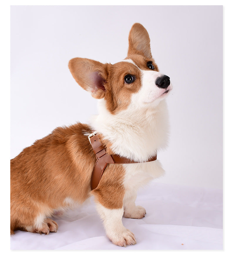 Pet Cat And Dog Chest Strap Leash