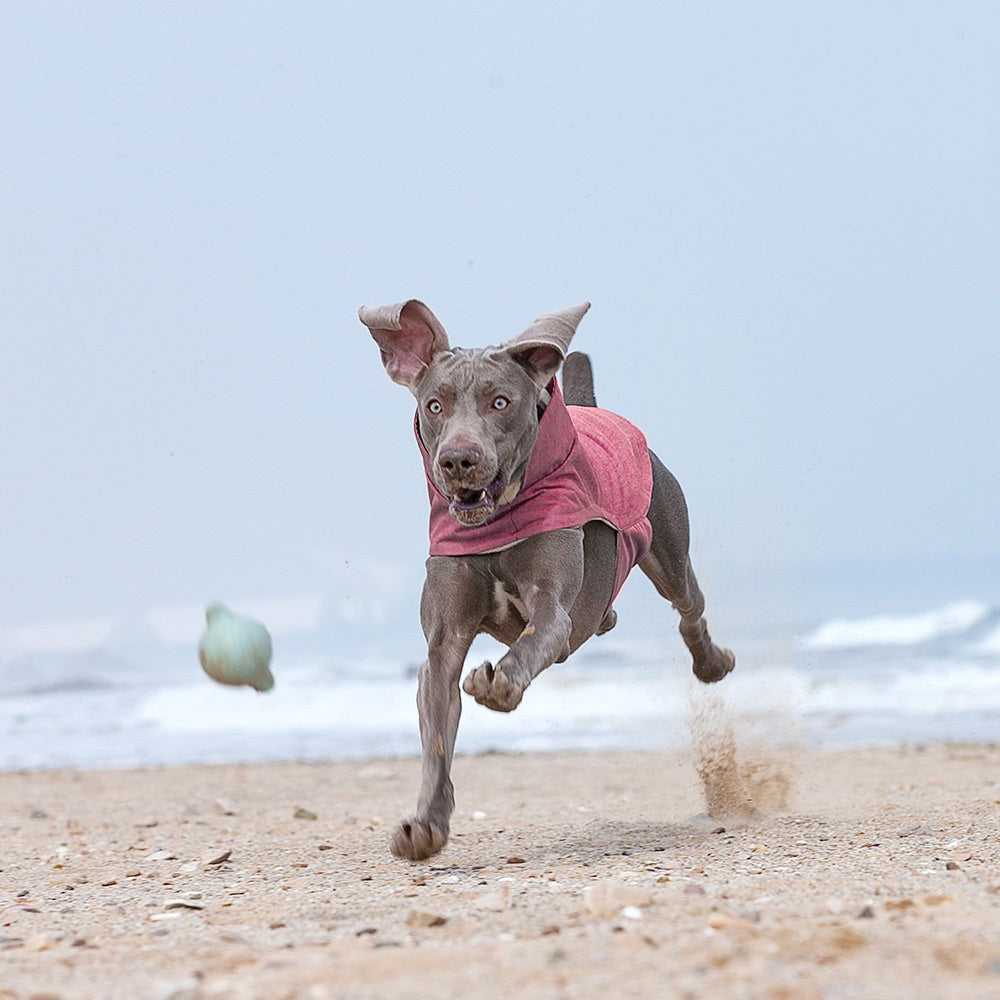 Cold-proof And Warm-keeping Medium Cloth