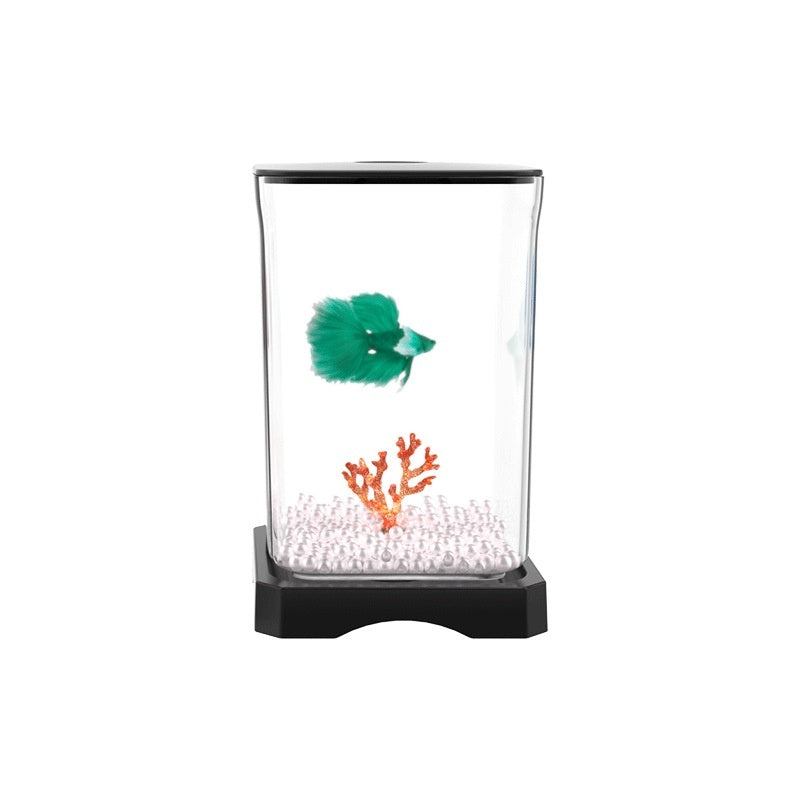 Creative Douyu Ecological Fish Tank