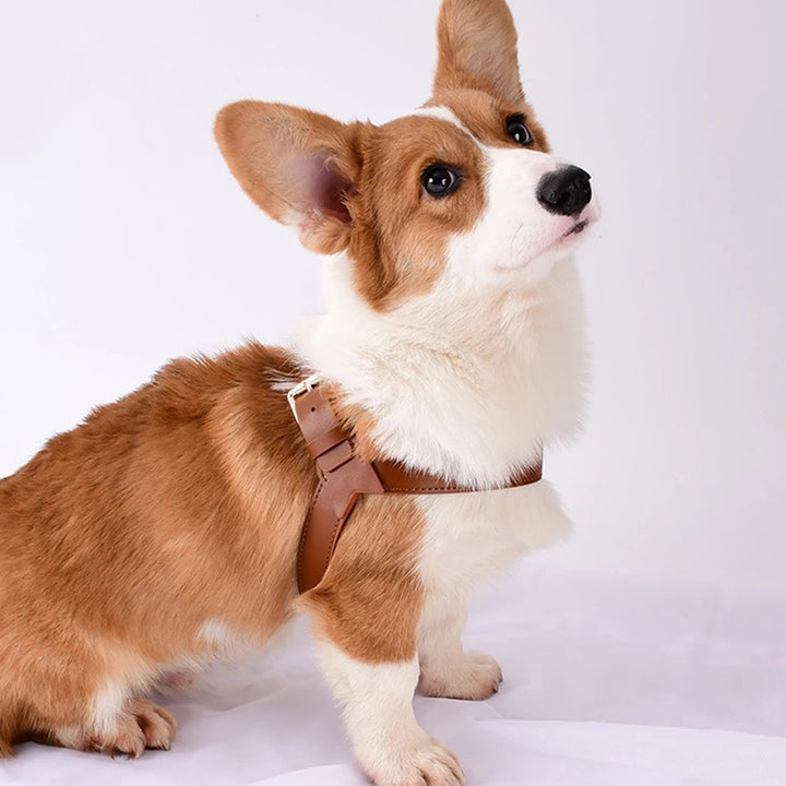 Dog And Cat Vest Type Chest Harness Leash