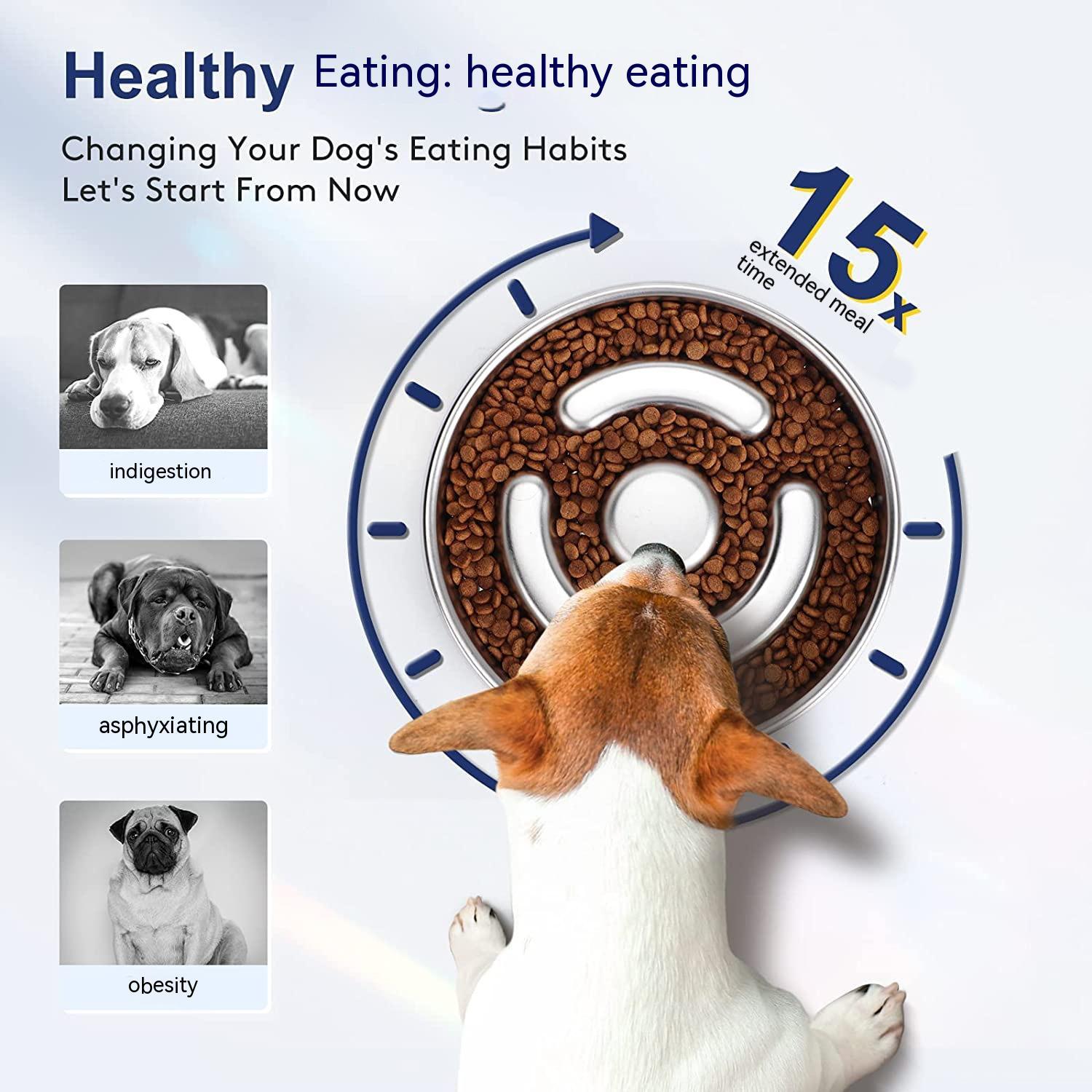 Pet Slow Feeding Bowl Stainless Steel