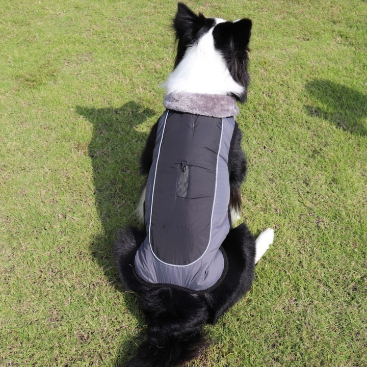 Fur Collar Pet Clothes Reflective Waterproof