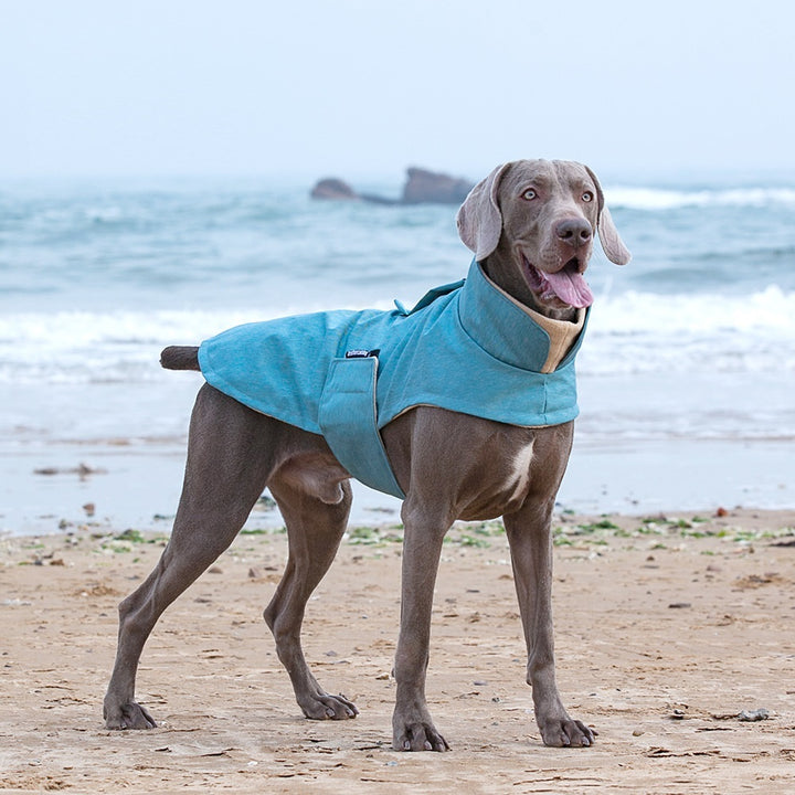 Cold-proof And Warm-keeping Medium Cloth