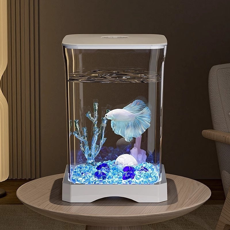 Creative Douyu Ecological Fish Tank