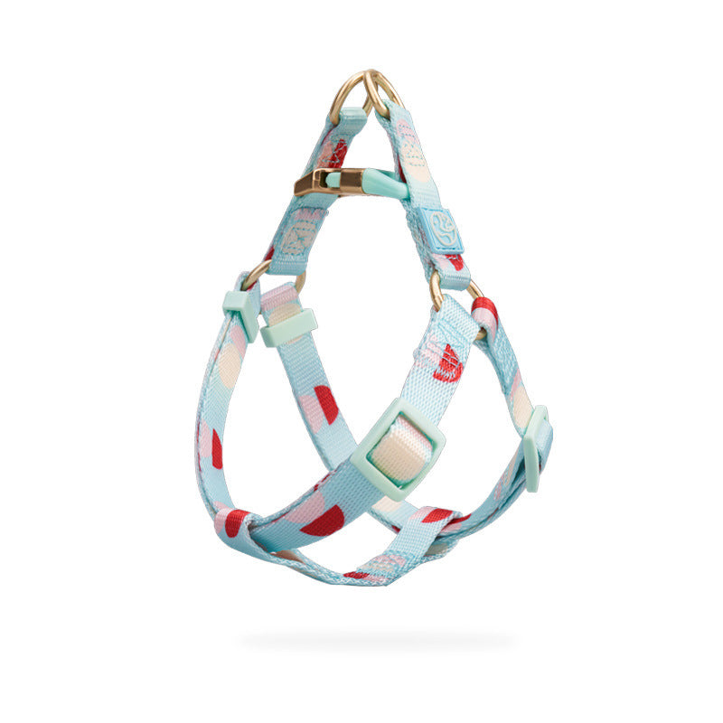 Fashion Y-shaped Chest Strap